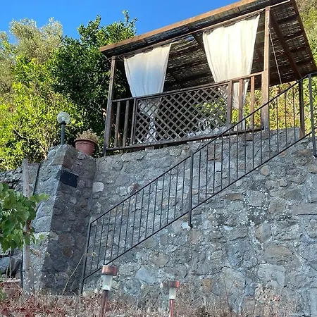 Rosa Città di Lipari