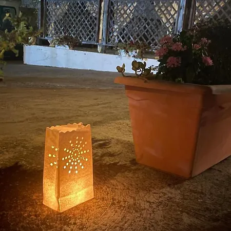 Rosa * Città di Lipari